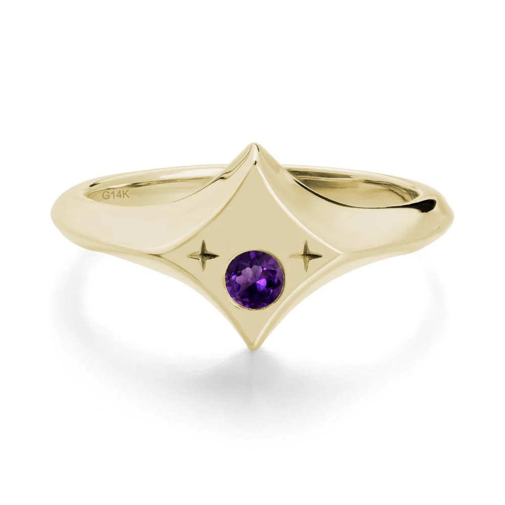 Custom Amethyst Zodiac Ring - Image 4