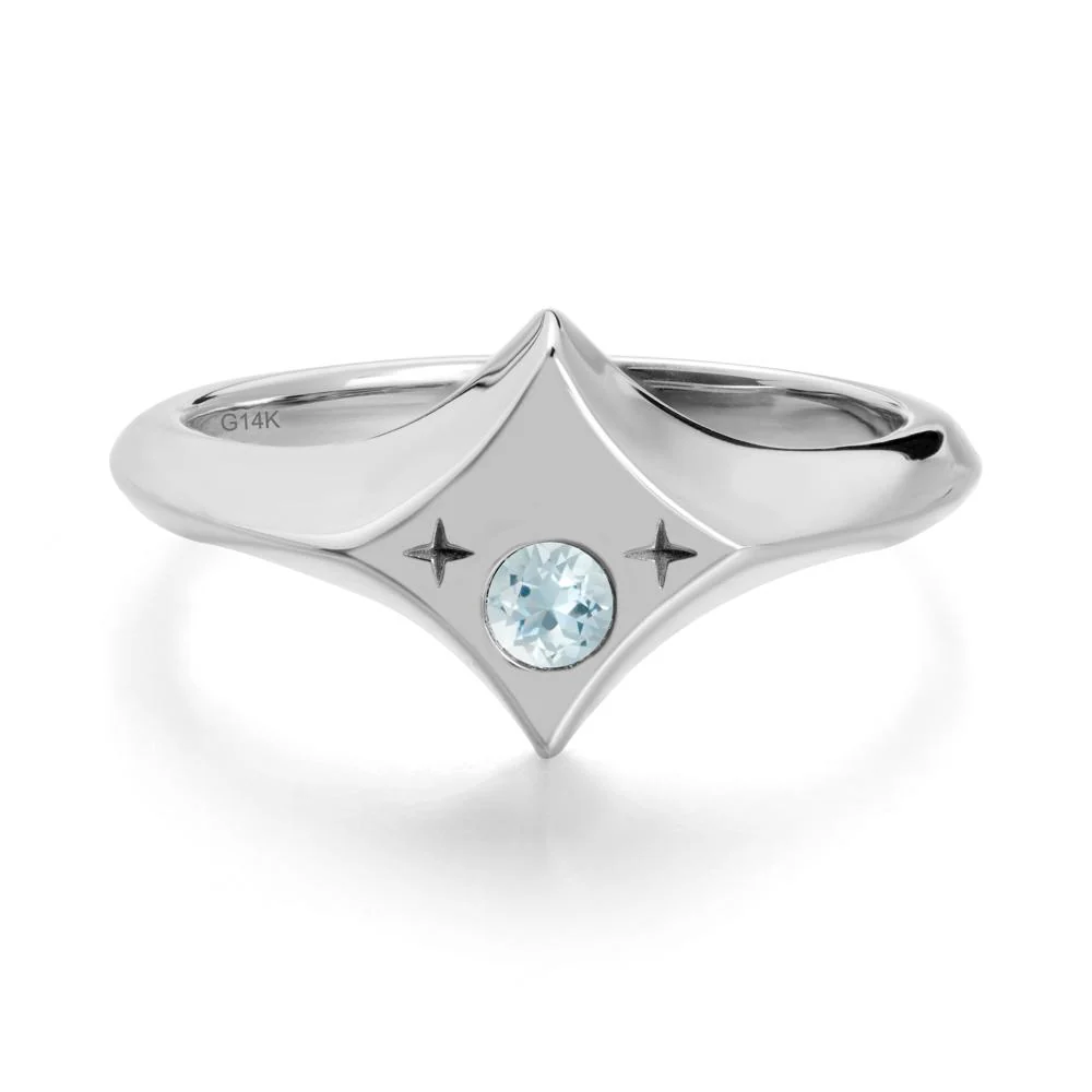 Minimalist Personalized Zodiac Signet Aquamarinering - Image 3