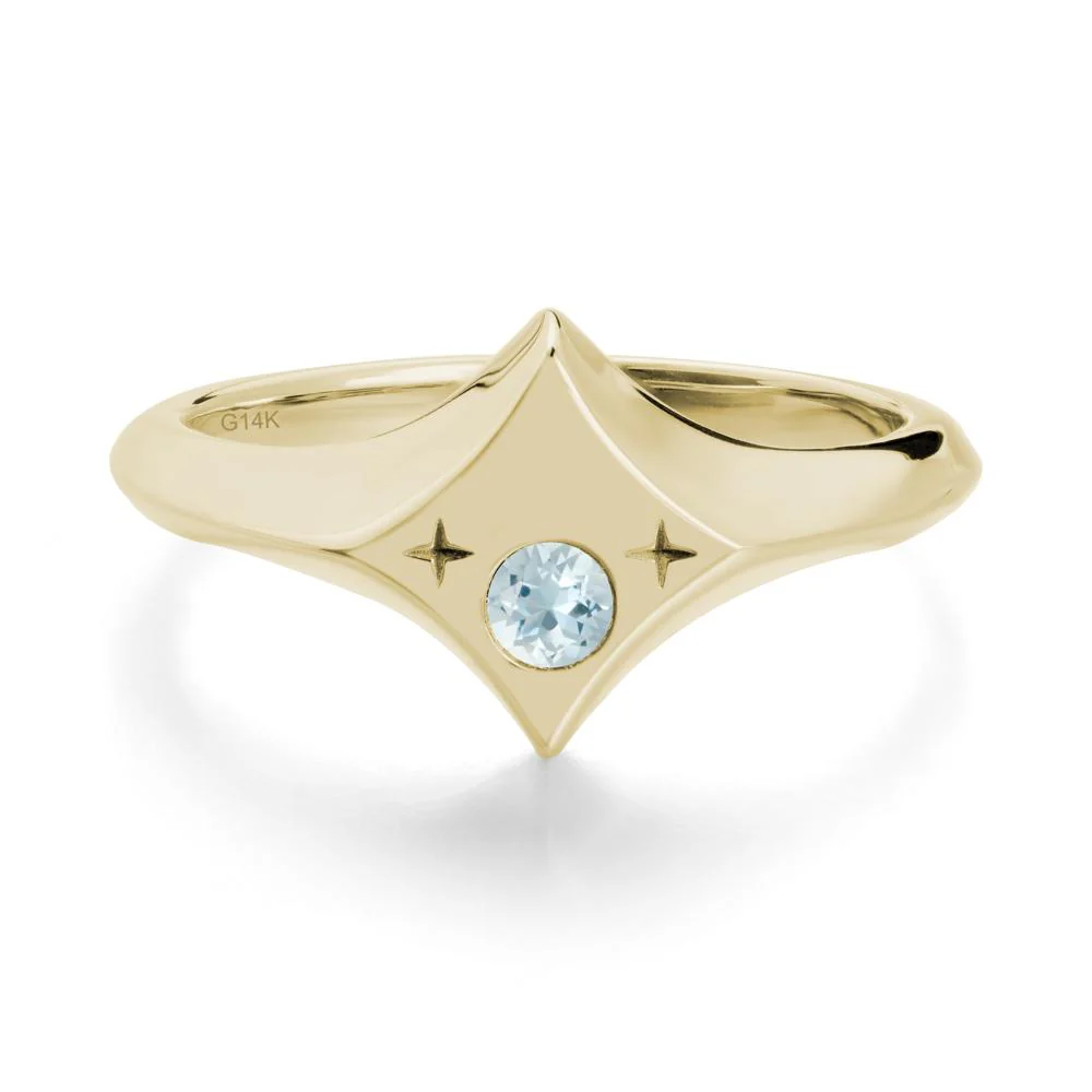 Minimalist Personalized Zodiac Signet Aquamarinering - Image 4